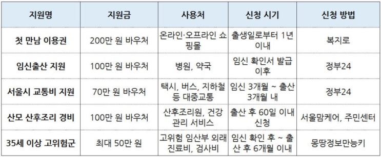   예비아빠가 정리한: 2025 임산부 혜택 총정리