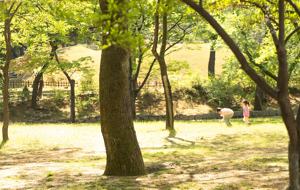 964커피로스터리 사진 1
