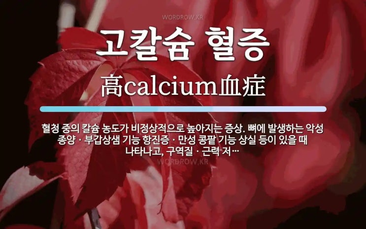 칼슘 농도 장애는 무엇인가?! 고칼슘혈증