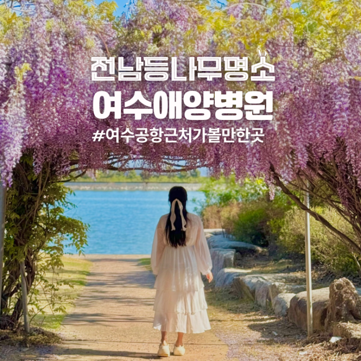  봄 여수 가볼만한곳 공항 근처 등나무꽃 명소 데이트코스