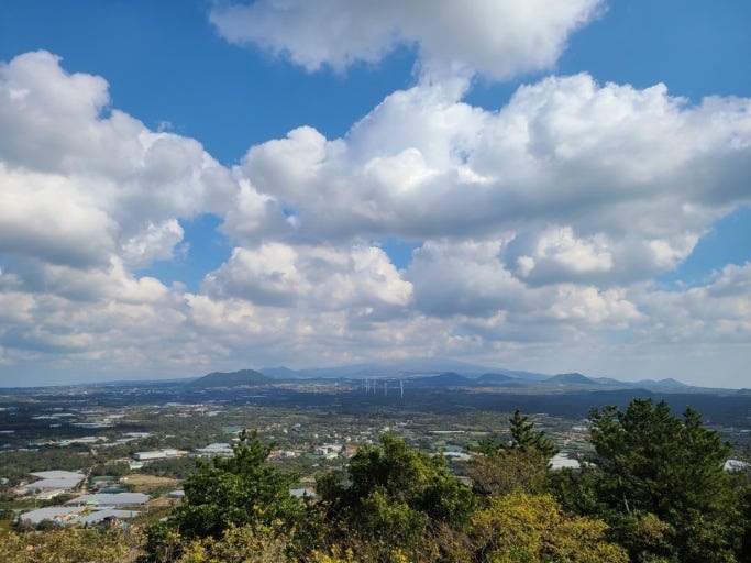   저지오름 산책 후, 따뜻하게 쉬어간 곳 – 한림웅담