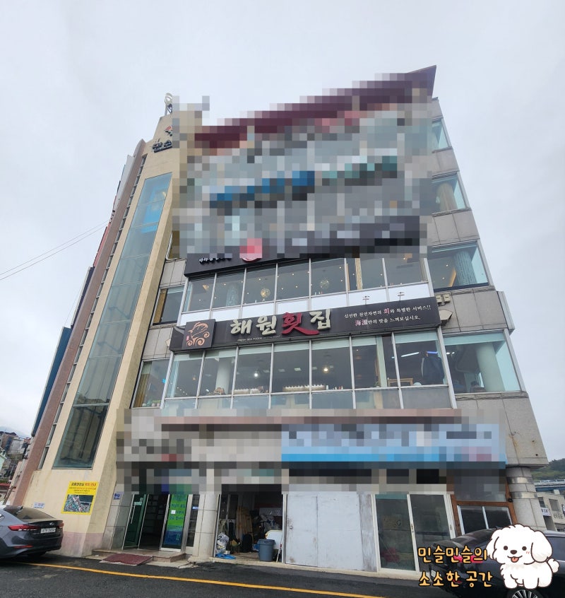 사진 10