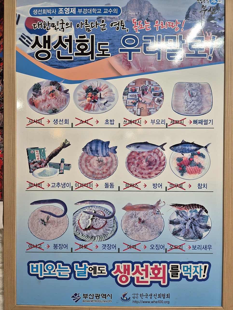미락뽈락 사진 5