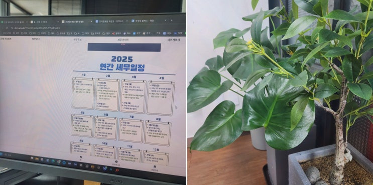  안영 세무회계, 창원 세무기장으로 믿을 수 있는 선택