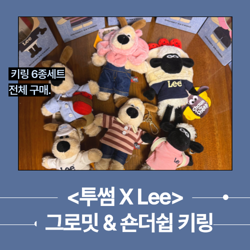  [내돈내산] 투썸플레이스 X Lee 그로밋&숀더쉽 키링 오픈런