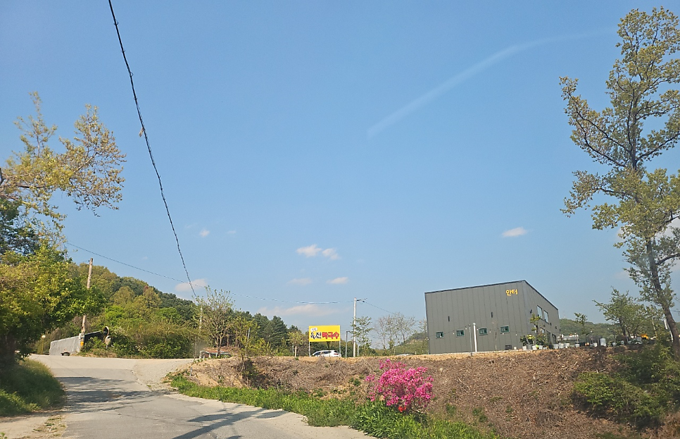 신평막국수 사진 3