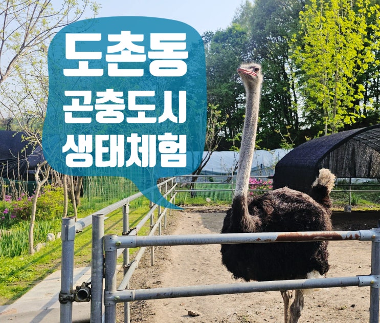  성남 도촌동 곤충도시 후기 아이와 가볼만한 곳 생태체험