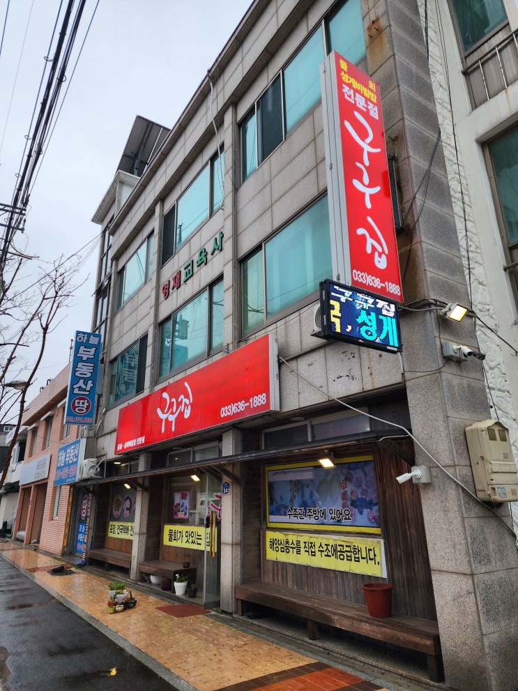  속초 물회 맛집 "구구집" 또 가고 싶은 집