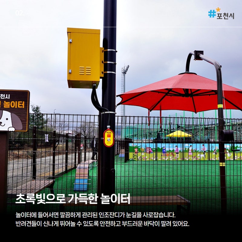 사진 9