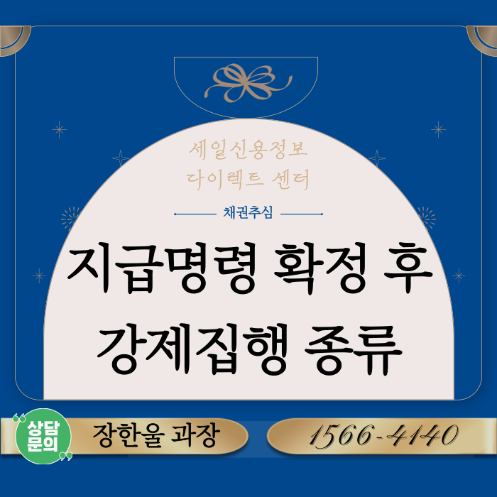  지급명령 확정 후 강제집행 종류