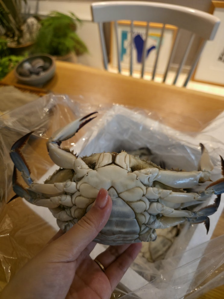  [팔팔키친] 싱싱한 제철 암꽃게를 최저가로 맛볼 수 있는 곳!
