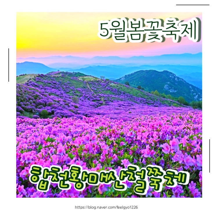  5월 봄꽃축제 시작해요 합천 가볼만한곳 합천황매산철쭉제