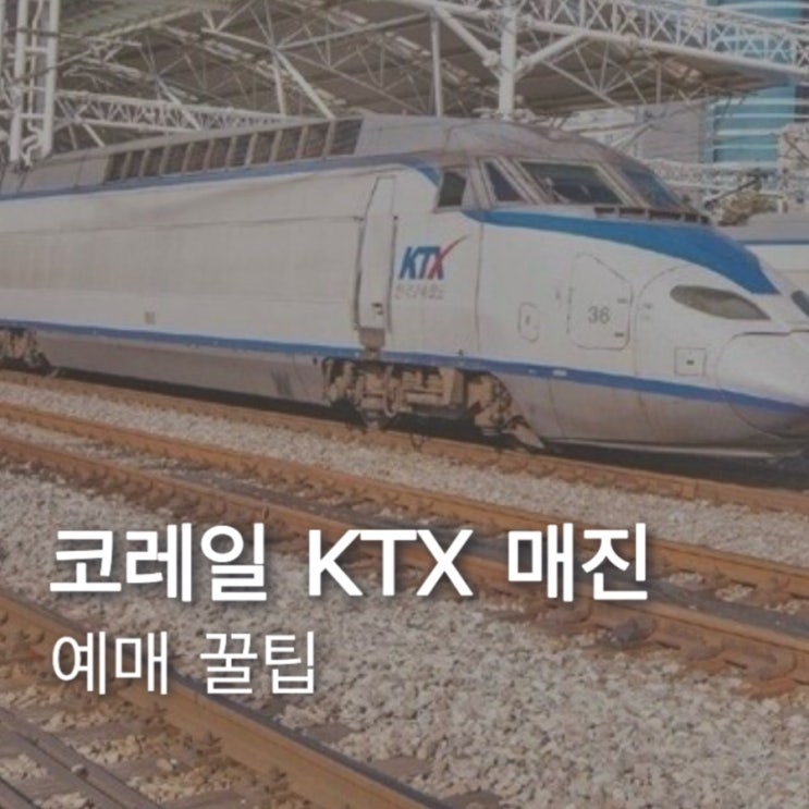  코레일 기차 매진 취소표 꿀팁! 풀리는 시간