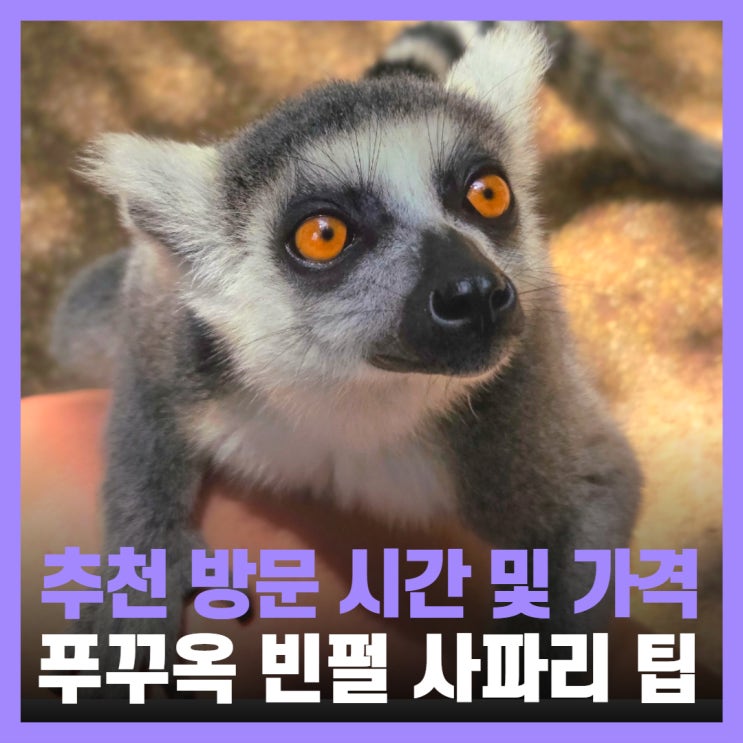  푸꾸옥 사파리 가격 시간 가족여행 일일투어 후기