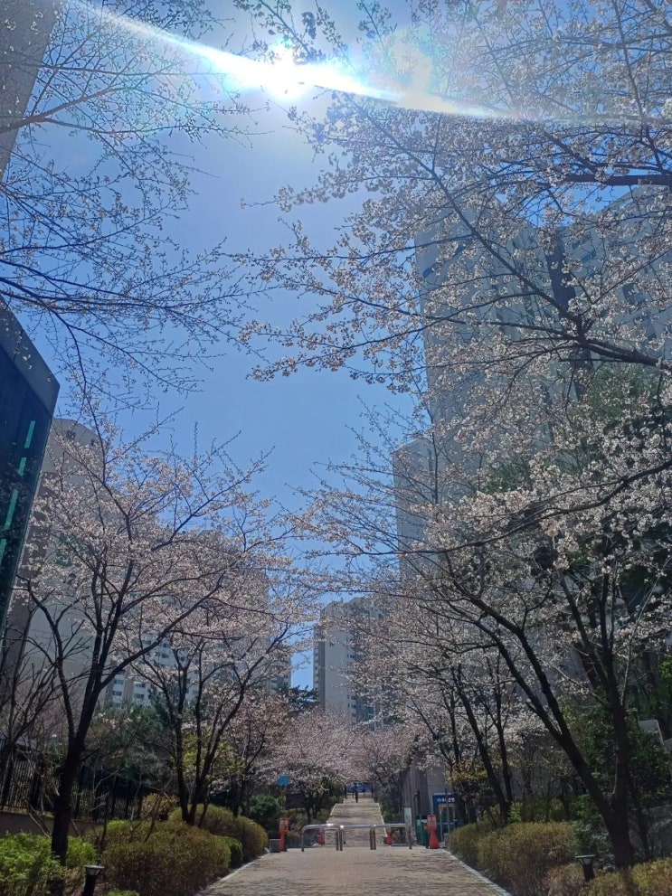  04월 30일 주요신문 헤드라인 