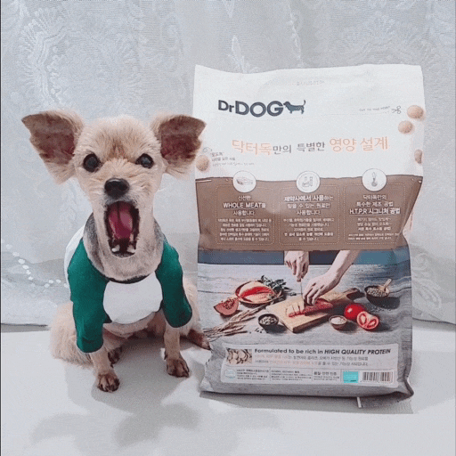  강아지 알러지 피부사료 추천 닥터독 수제사료