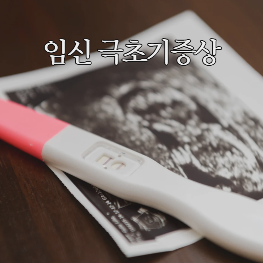  임신 극초기증상 생리전 증상과 다른점