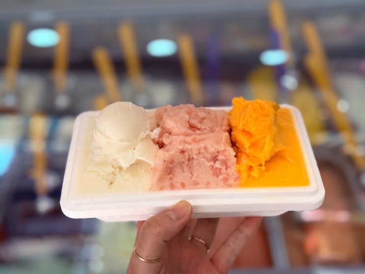  [강원]속초 젤라또 맛집, 아이스걸크림보이