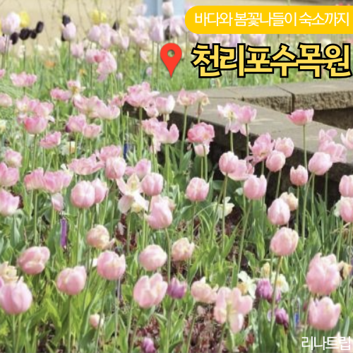 태안 천리포수목원 봄축제 숙소 가든스테이 카페 소개 여행코스 아이와 가볼만한곳