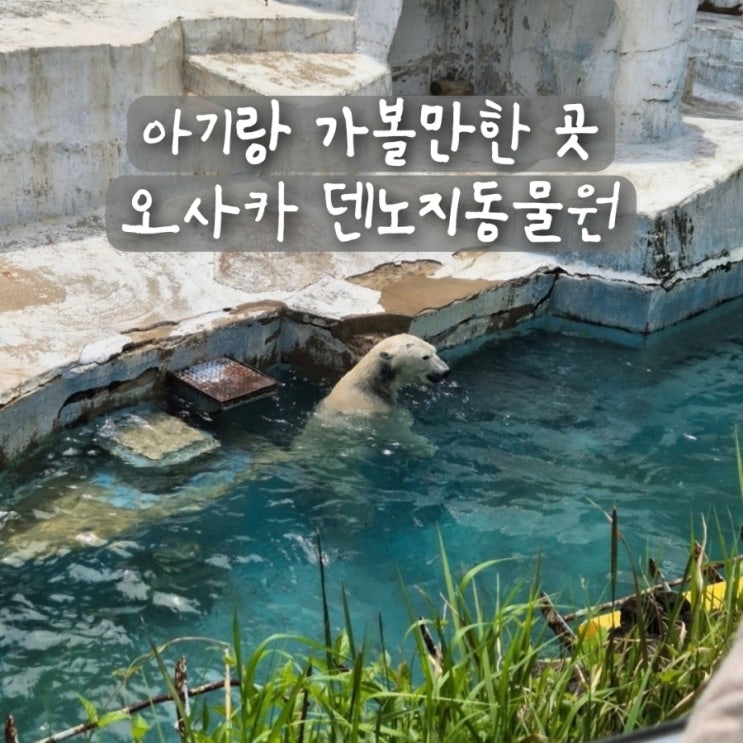 오사카 아기랑 여행 가볼만한 곳 덴노지동물원 후기 입장료
