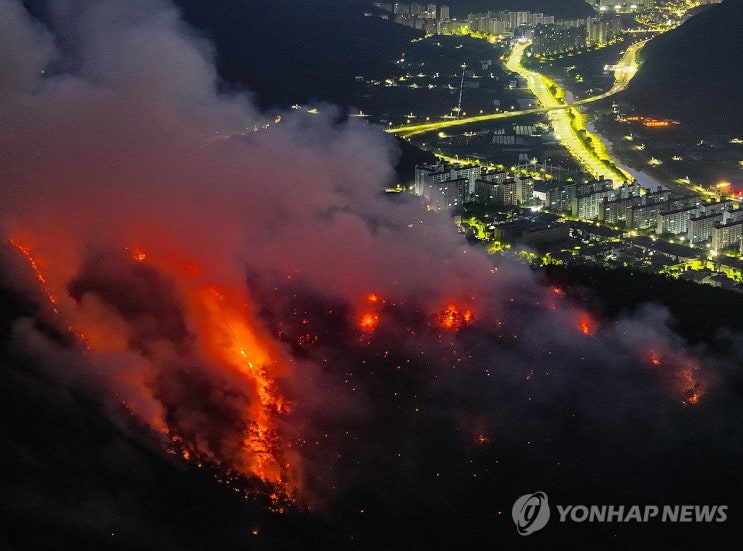 <b>대구</b> 함지산 <b>산불 재발화</b> 현황, 진화율, 피해
