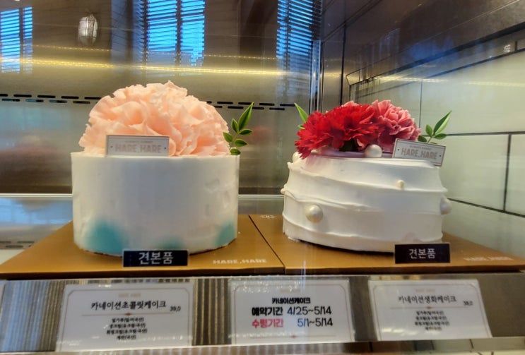  대전에는 성심당만 있는 게 아니야! 하레하레 도안점(음료, 케이크, 메뉴, 가격)