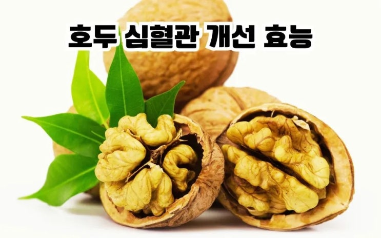  심혈관에 좋은 호두 효능 부작용 잘 먹는법