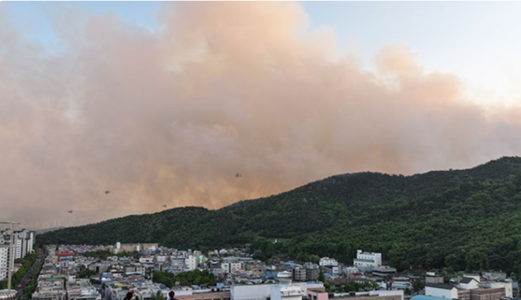 <b>대구</b> 함지산 <b>산불 재발화</b> 원인과 대처 방안
