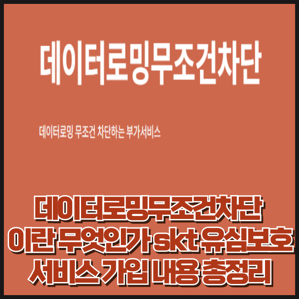 데이터로밍무조건차단 이란 무엇인가 skt 유심보호서비스 가입 내용 총정리