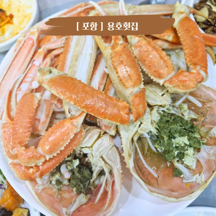  포항죽도시장맛집 대게와 싱싱한 회가 맛있는 용호횟집