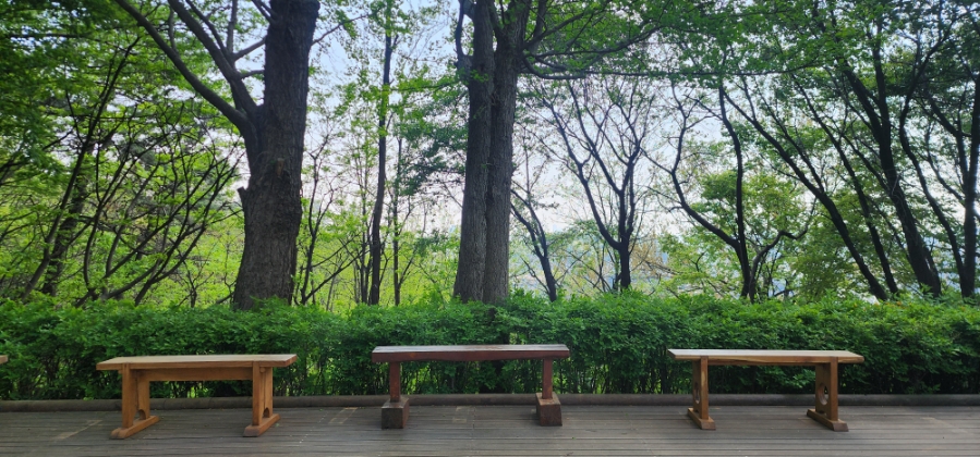 춘향골남원추어탕 서대문구청점 사진 4