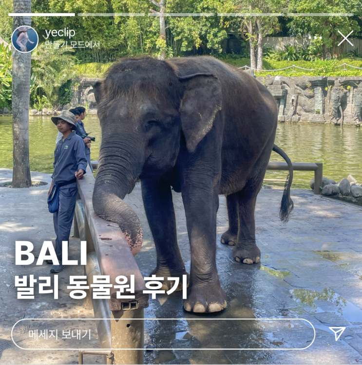  발리 사파리 동물원 위치 가는방법 + 입장권 최저가 가격
