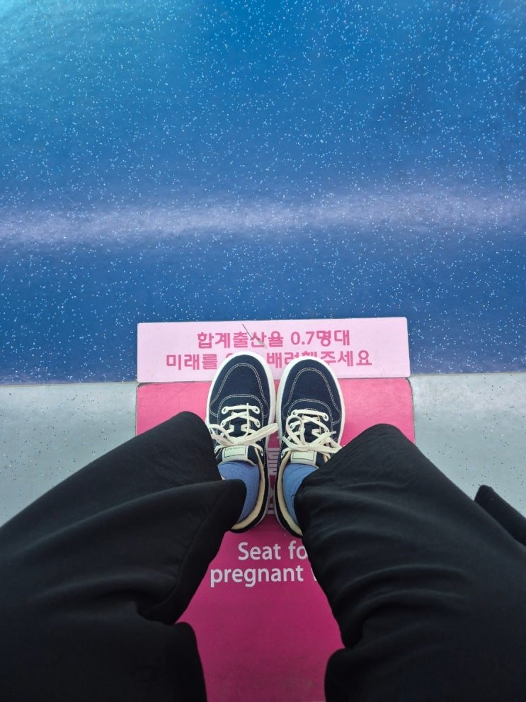 임산부신발 르무통 메이트 메리노울 다크 네이비 245/230 임산부신발 르무통 메이트 메리노울 다크 네이비 245/230