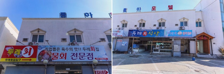  [두레회식당 울진] 신선한 자연산 활어회와 울진 물회, 최고의 맛집 추천