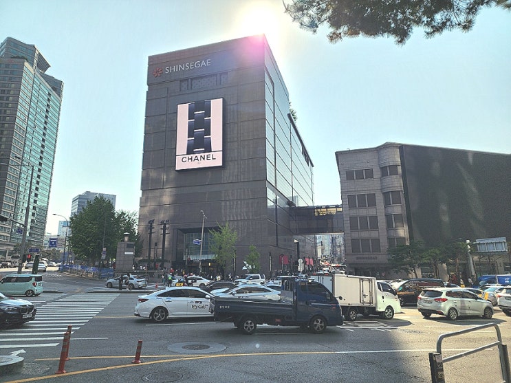  명동케이크 망고케익 맛집 메종원스이어 신세계백화점 본점