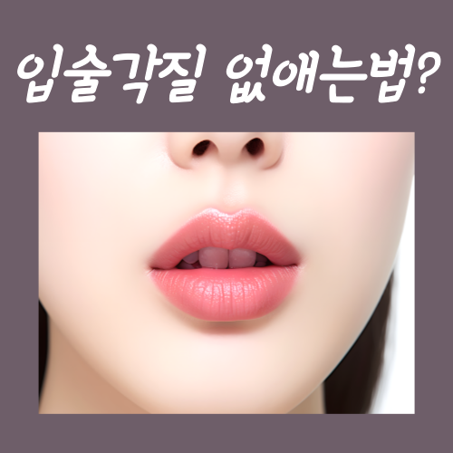  입술각질 관리, 말끔히 없애는법 3가지
