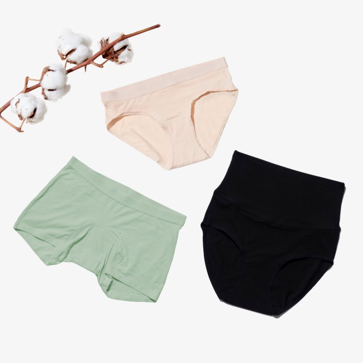  팬티라이너 없이 하루 종일 보송한 노라이너 면팬티!