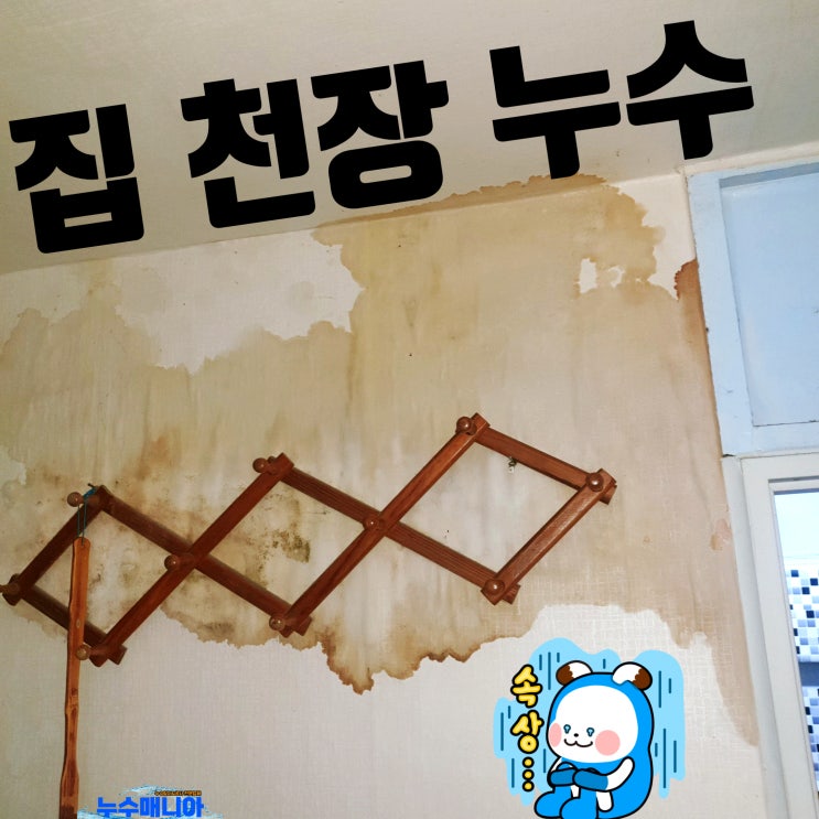  집 천장 누수 책임 윗집 누수탐지 방법