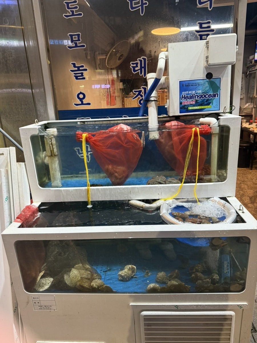 홍원항바다횟집 사진 5