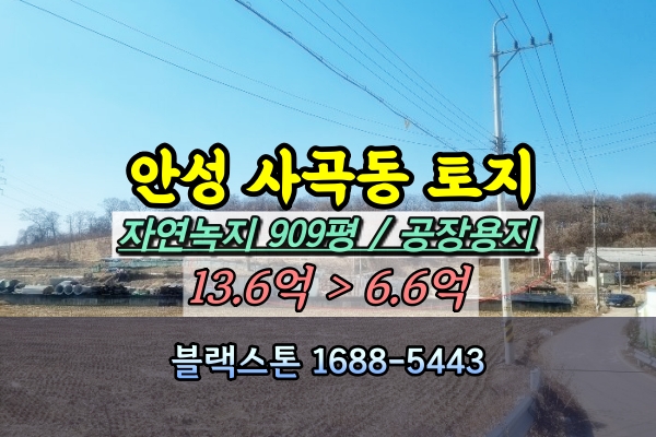  안성시 사곡동 토지 경매 공장용지 1천평이하 6억대 [2023타경543]