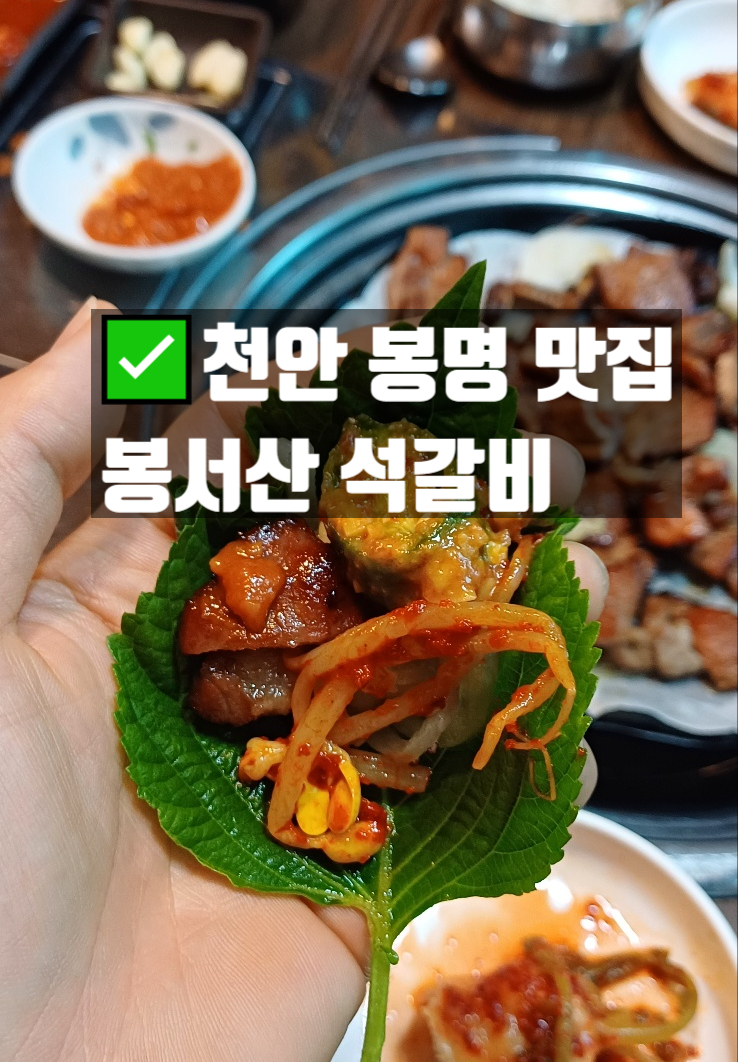  천안가볼만한곳 쌍용동 봉서산석갈비 맛집