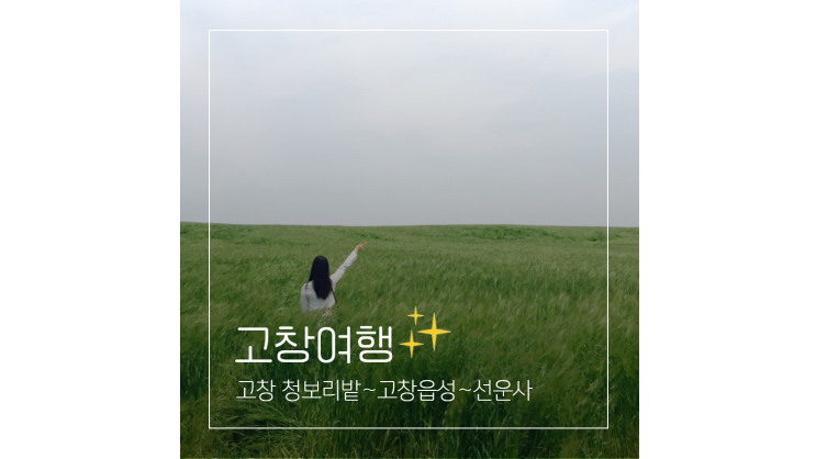  고창 청보리밭축제 학원관광농원부터 고창읍성 선운사까지 ㅣ 국내 봄 여행지 5월 가볼만한곳