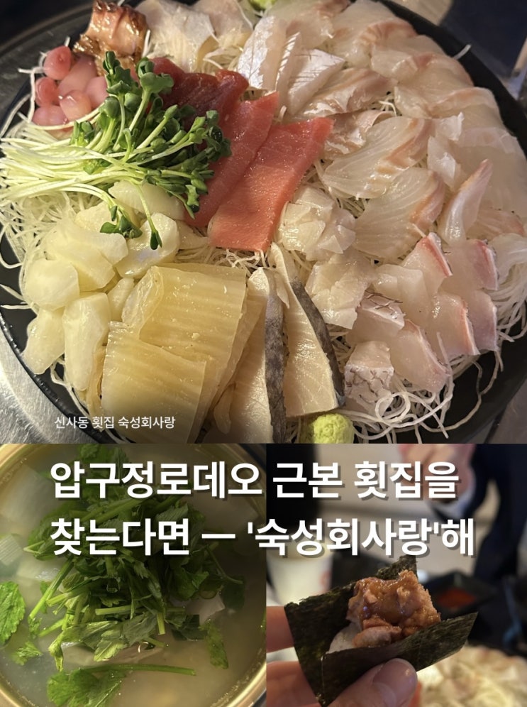  [압구정로데오] 근본 신사동 횟집 ‘숙성회사랑’