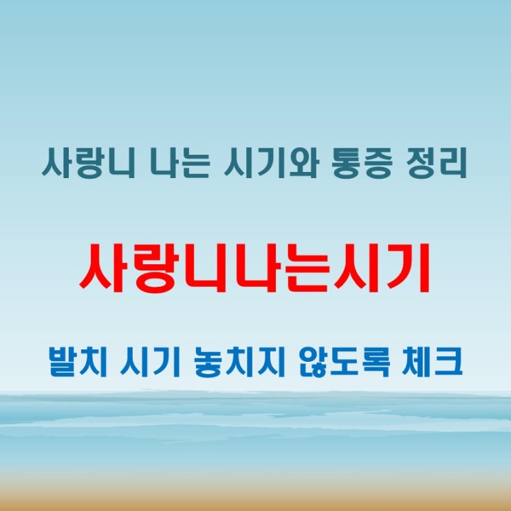  사랑니나는시기 알아두면 통증과 발치 시기 놓치지 않는다