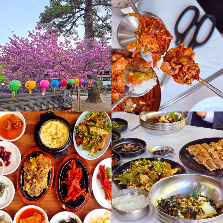  순천 선암사 맛집 베스트 3 산채비빔밥부터 꼬막정식까지