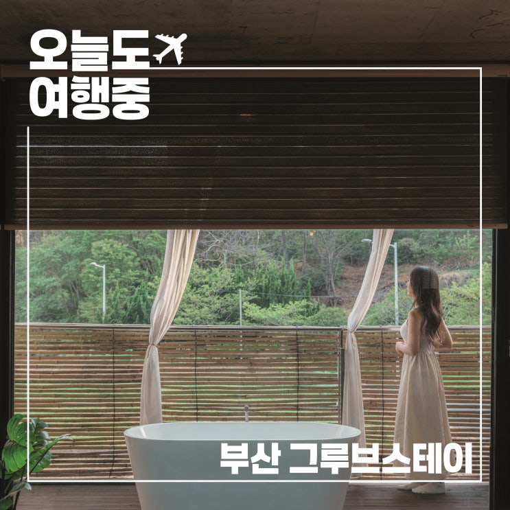  콘크리트 감성과 자연이 스며든 기장스파펜션 그루브스테이에서 만난 스냅같은 하루
