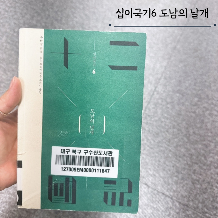 십이국기6 도남의 날개 - 오노 후유미 십이국기6 도남의 날개 - 오노 후유미
