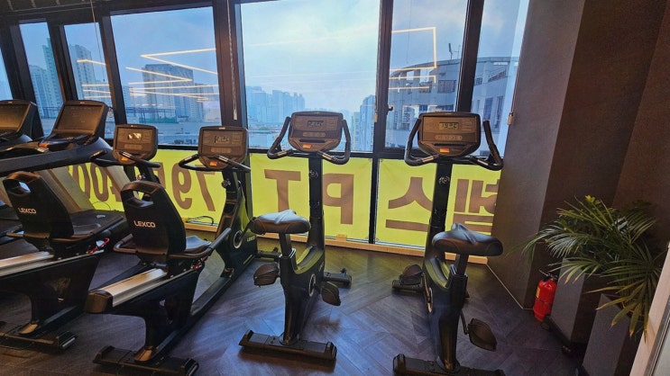  전문 트레이너와 함께하는 효과적인 미사PT, 베라짐 하남 미사점
