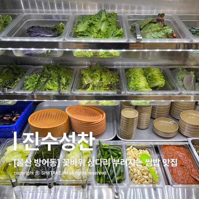  [울산 동구 밥집] 방어진 꽃바위에 위치한 내돈내산 최애 쌈밥 맛집, 진수성찬