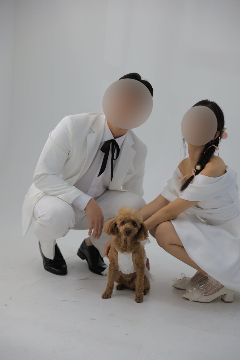 결혼식 스몰웨딩 강아지 화동 옷, 드레스, 노래 준비하기